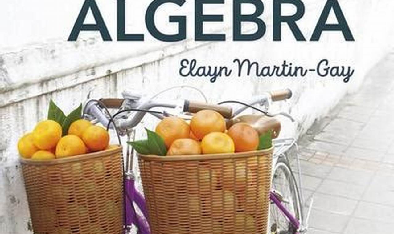 Beginning And Intermediate Algebra