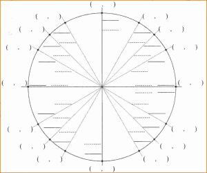 Circle unit blank fill mathwarehouse answer graph formula printables printable filled math trigonometry algebra worksheets trigonometric use worksheet show answers