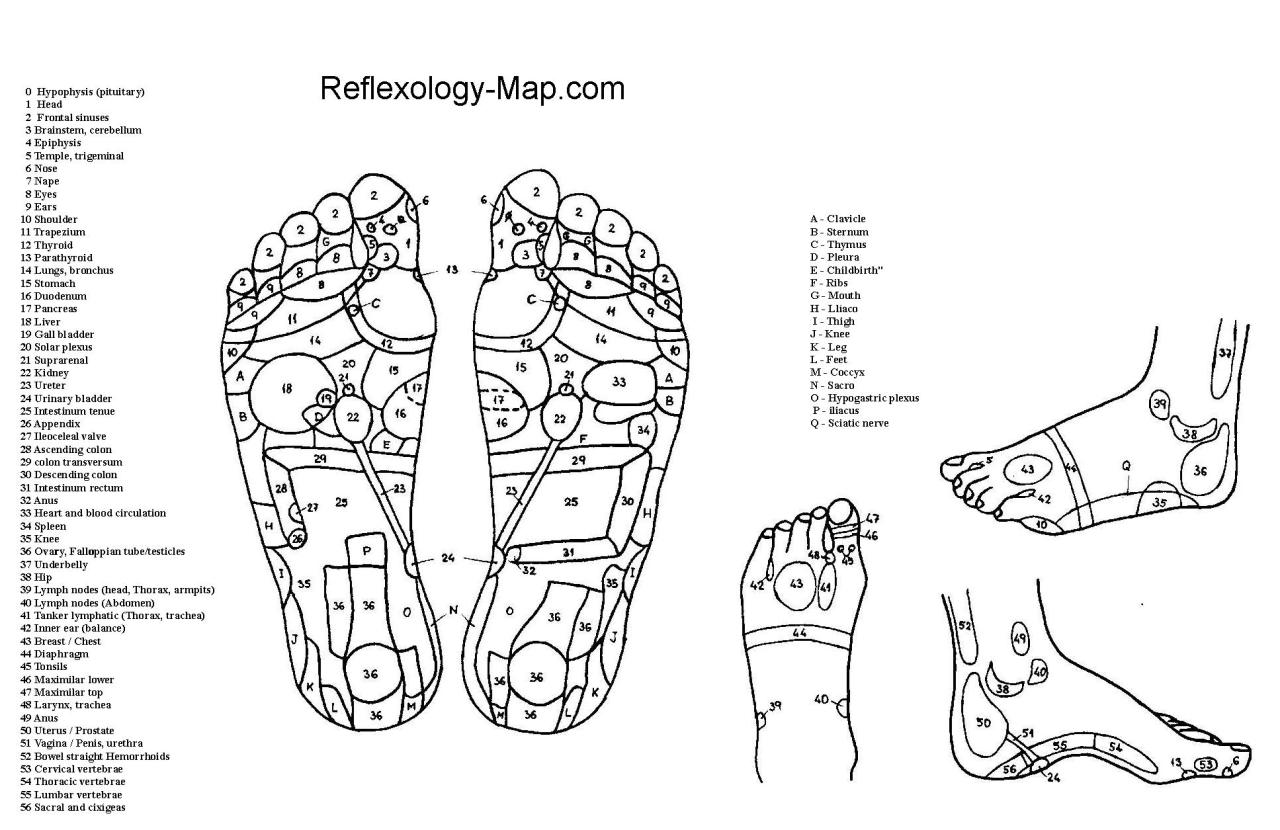 High resolution foot reflexology chart