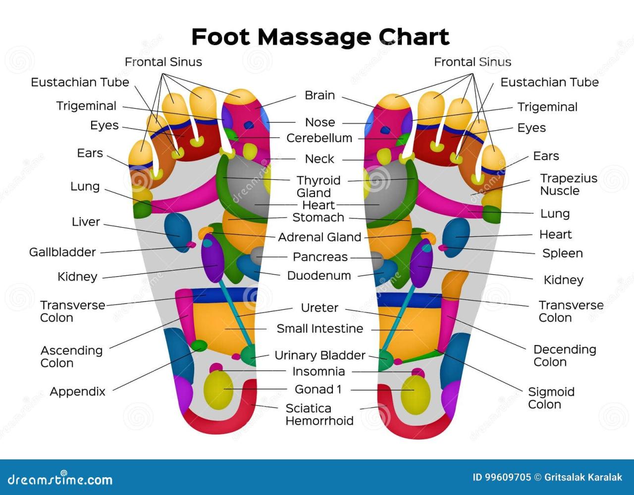 Reflexology foot chart feet charts sole points map massage pain oils hands health acupuncture reflex bottom body essential acupressure living