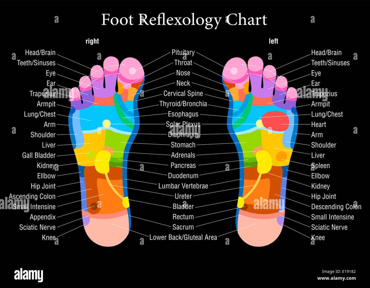 Reflexology foot chart charts printable map feet massage pain body maps ankle templatelab chinese