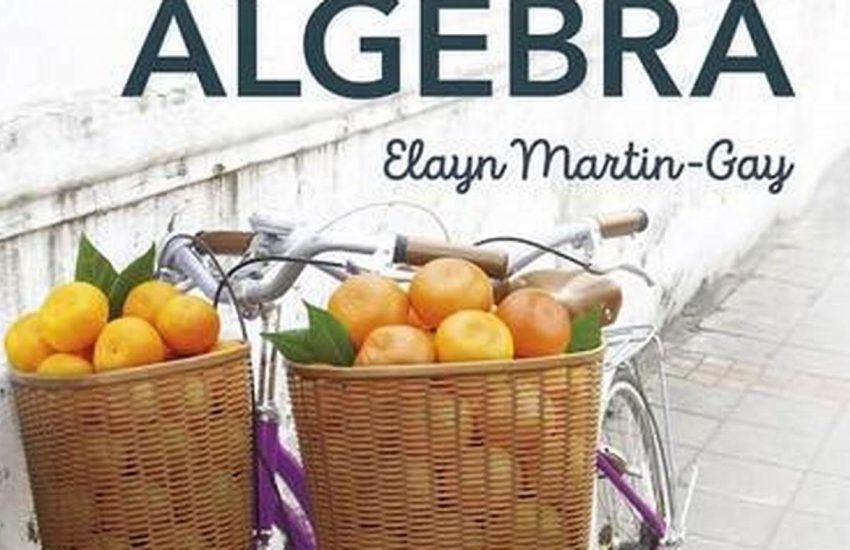 Beginning And Intermediate Algebra