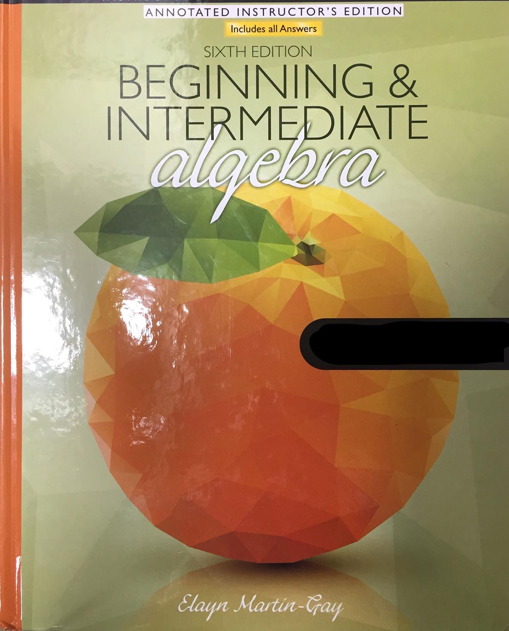 Beginning and Intermediate Algebra Annotated Instructor's Edition Elayn MartinGay, Christine