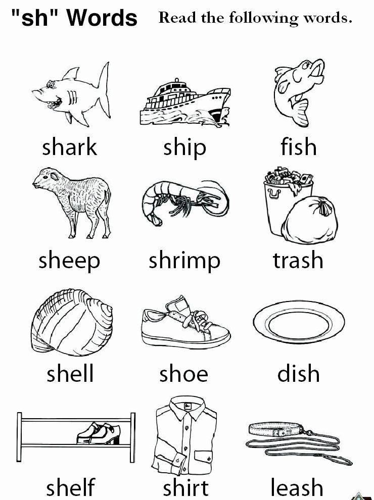 Words Ending In Sh