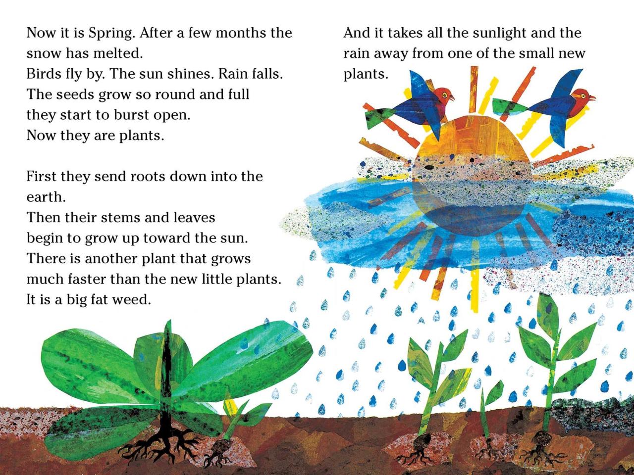 The Tiny Seed Book by Eric Carle Official Publisher Page Simon & Schuster